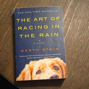 Novel 'The Art of Racing in the Rain'